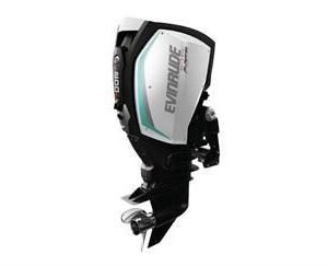 Buy 150HP Evinrude Outboard Motor | C150PL | 20 in. Shaft