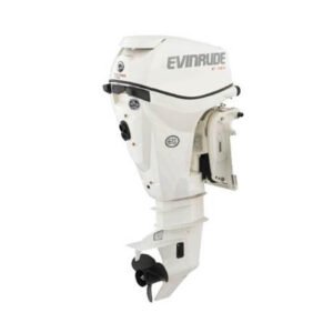 2019 Evinrude 15HP Outboard Motor | E15HPSX | 25 in. Shaft