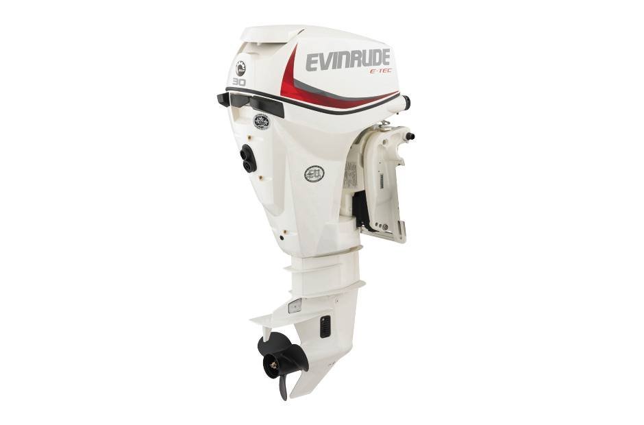 2019 Evinrude 30HP E30DTSL For Sale - 20 in. Shaft
